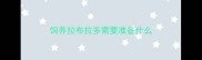 饲养拉布拉多需要准备什么