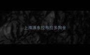 上海浦东拉布拉多狗舍