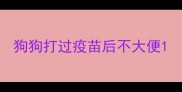 狗狗打过疫苗后不大便