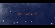 猫咪几个月是什么样子