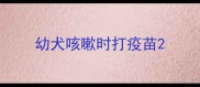 幼犬咳嗽时打疫苗