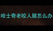 哈士奇老咬人腿怎么办