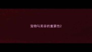 宠物与美容的重要性