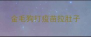 金毛狗打疫苗拉肚子