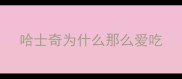 哈士奇为什么那么爱吃