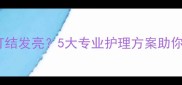 拉布拉多犬毛发打结发亮5大专业护理方案助你打造健康皮毛