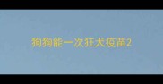 狗狗能一次狂犬疫苗