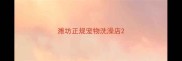潍坊正规宠物洗澡店