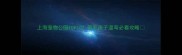 上海宠物公园TOP10带毛孩子遛弯必看攻略