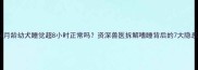 4月龄幼犬睡觉超8小时正常吗资深兽医拆解嗜睡背后的7大隐患