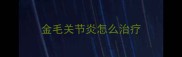 金毛关节炎怎么治疗