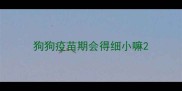 狗狗疫苗期会得细小嘛