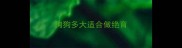 狗狗多大适合做绝育
