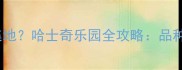 中国哪里哈士奇聚集地哈士奇乐园全攻略品种护理与旅行指南