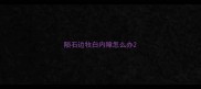 陨石边牧白内障怎么办