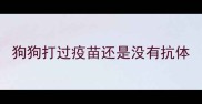 狗狗打过疫苗还是没有抗体